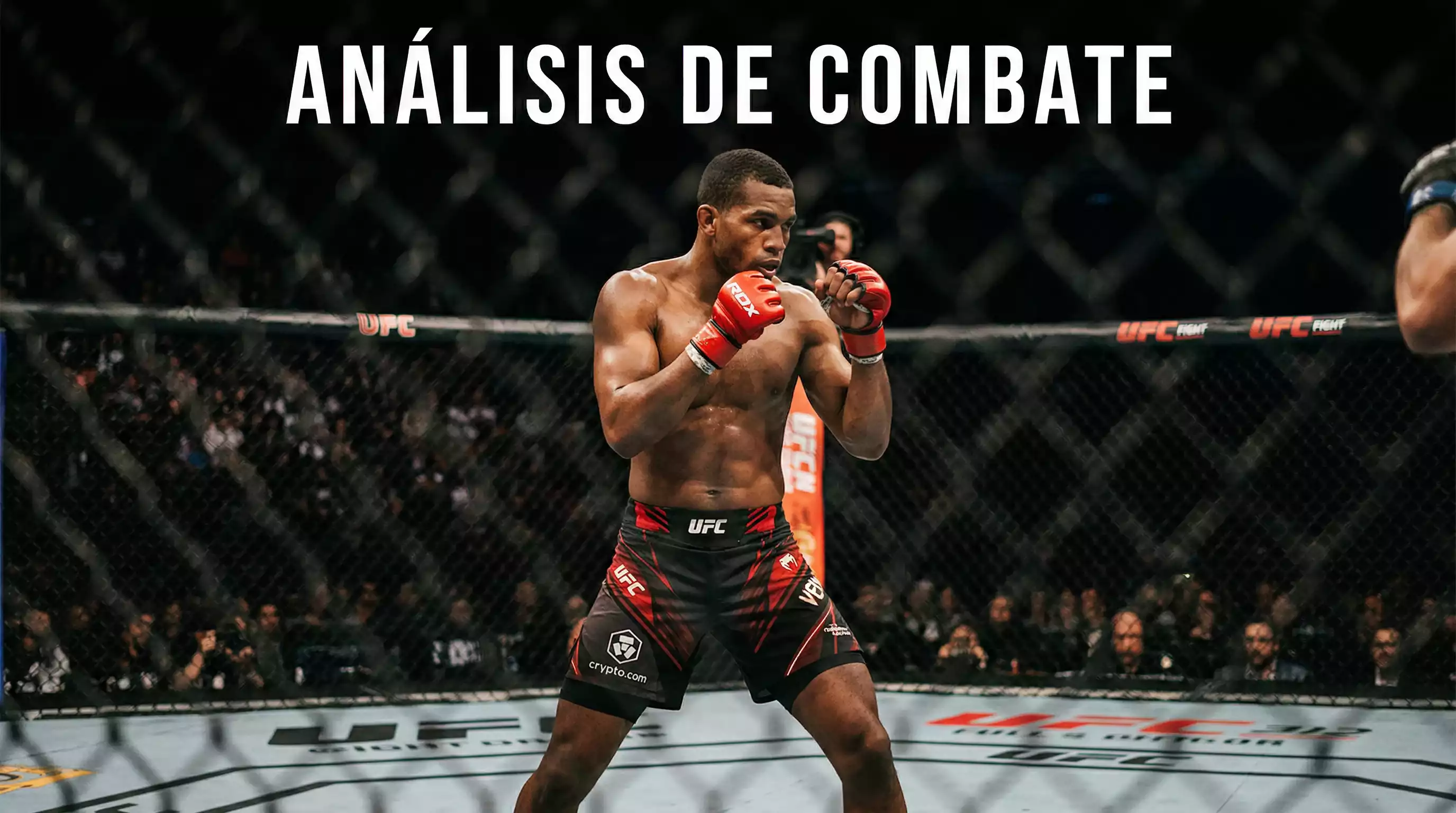 Análisis de Combates UFC: Factores Clave para Apostar con Datos